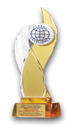 2008 Global Excellence Award