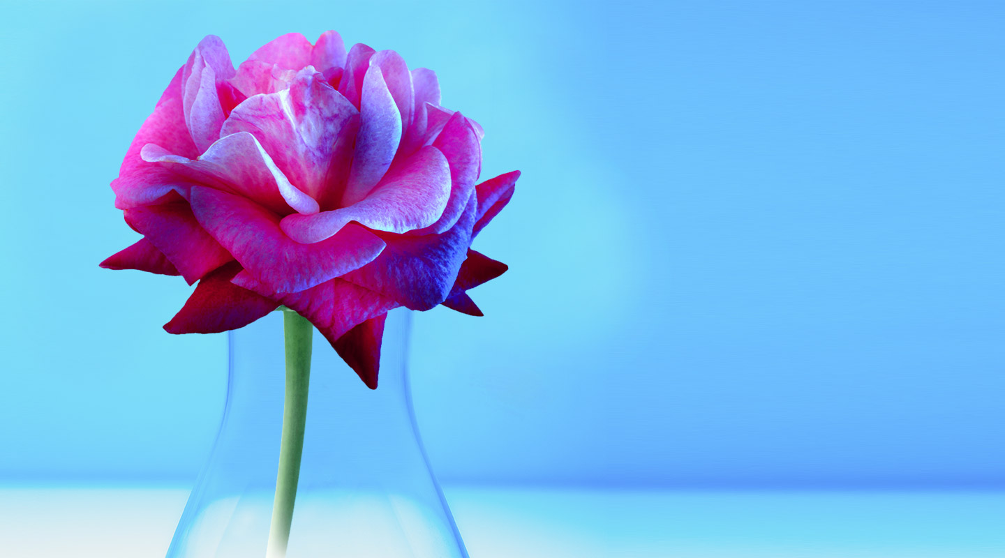 PERFUMERY IS OUR ESSENCE